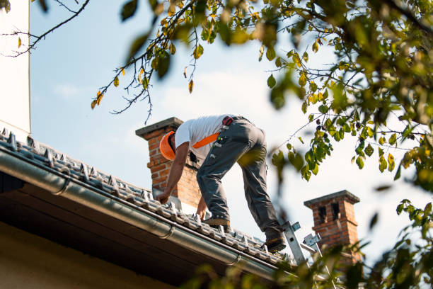 Best Gutter Installation and Roofing  in Maywood Park, OR
